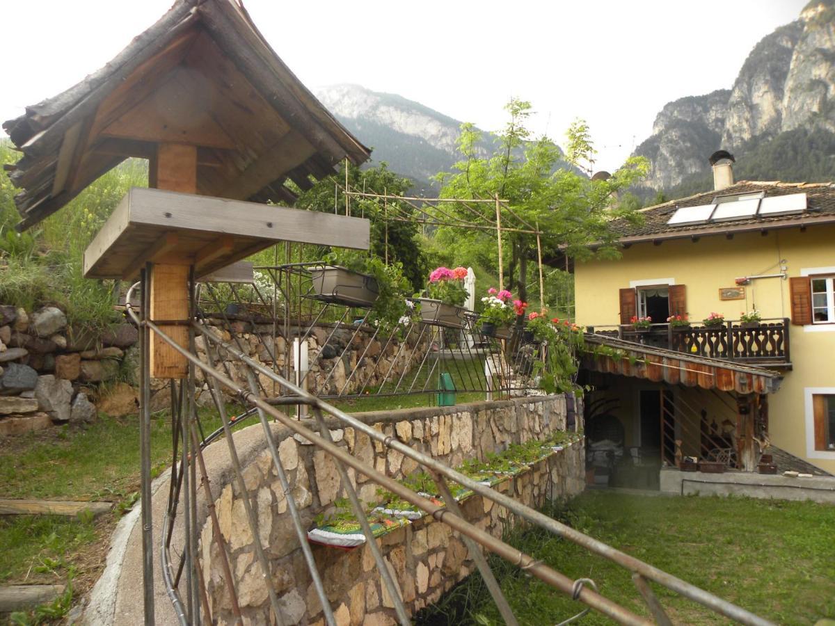 B&B La Casa Delle Bambole Panchia Exteriör bild